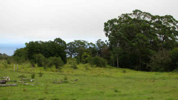 Spencer Road,LAUPAHOEHOE,HI,96764,USA