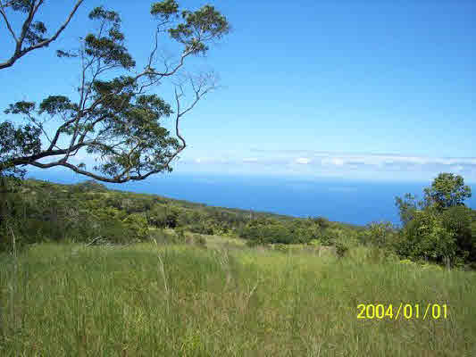 Spencer Road,LAUPAHOEHOE,HI,96764,USA