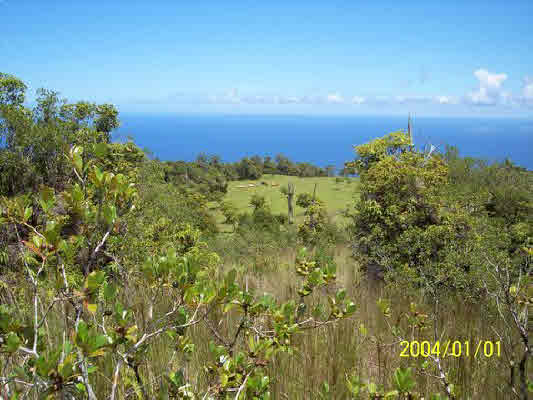 Spencer Road,LAUPAHOEHOE,HI,96764,USA