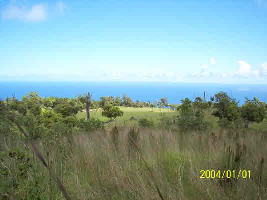 Spencer Road,LAUPAHOEHOE,HI,96764,USA