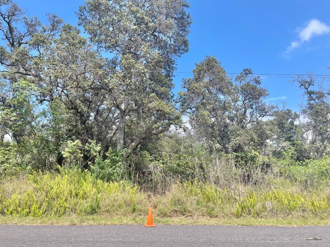 Big Island Listing Image