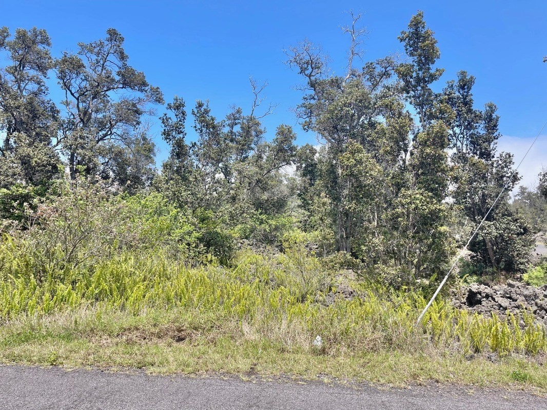 Big Island Listing Image