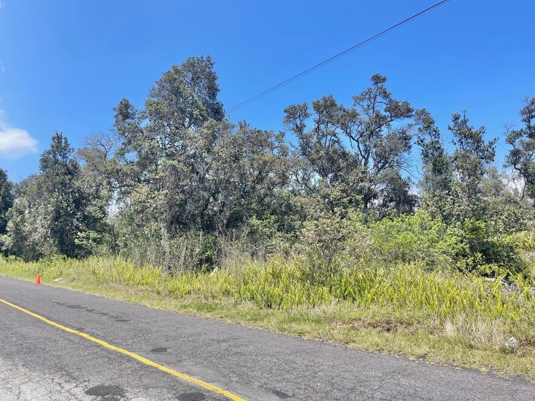 Big Island Listing Image