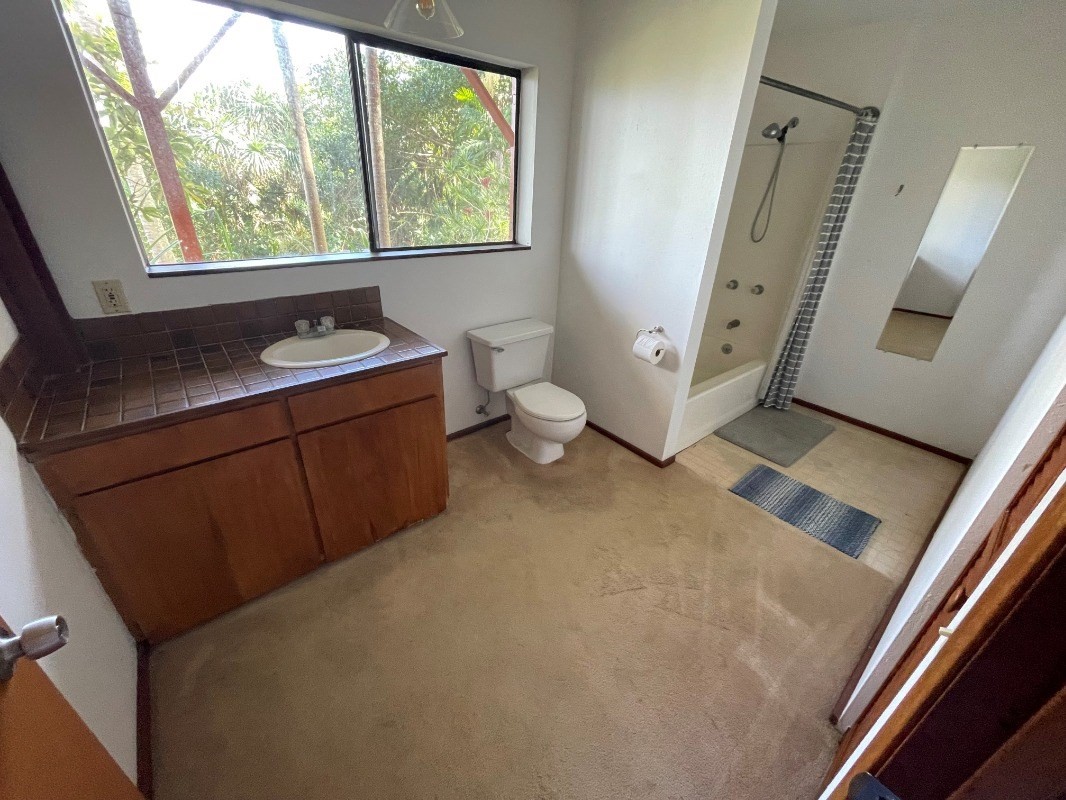 Big Island Listing Image