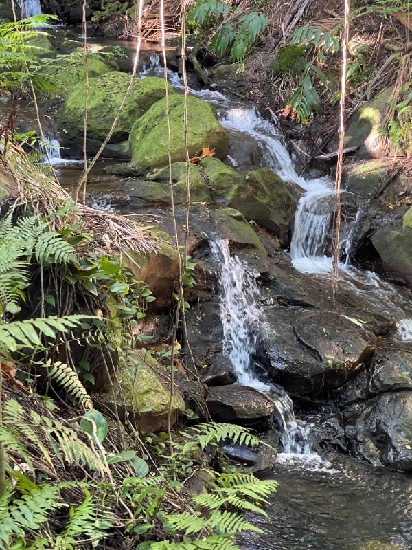 Big Island Listing Image