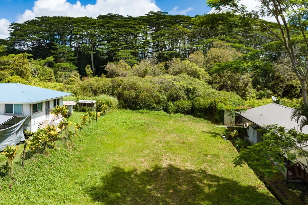 Big Island Listing Image