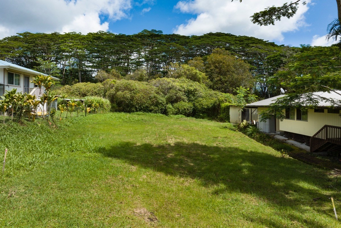 Big Island Listing Image