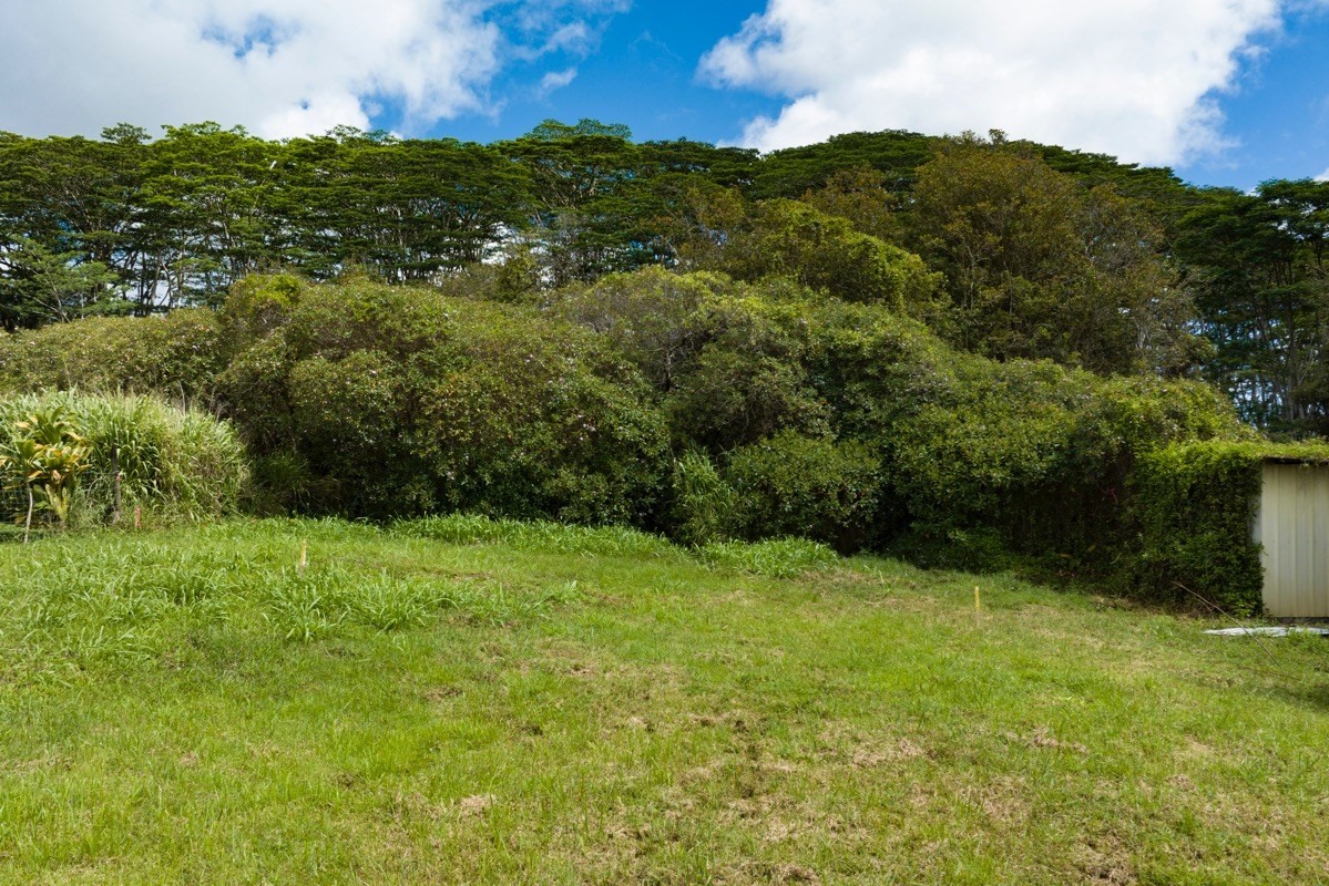 Big Island Listing Image