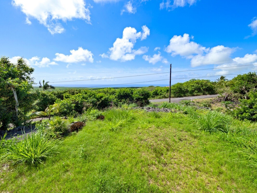 Big Island Listing Image