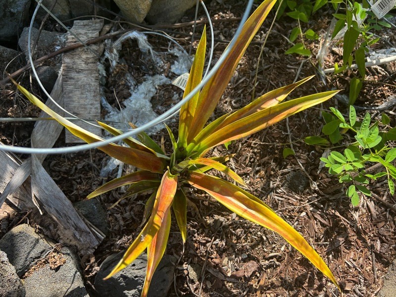 Big Island Listing Image