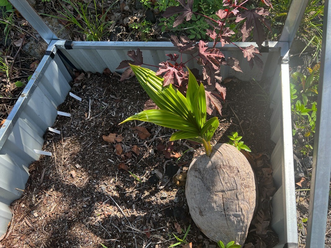 Big Island Listing Image