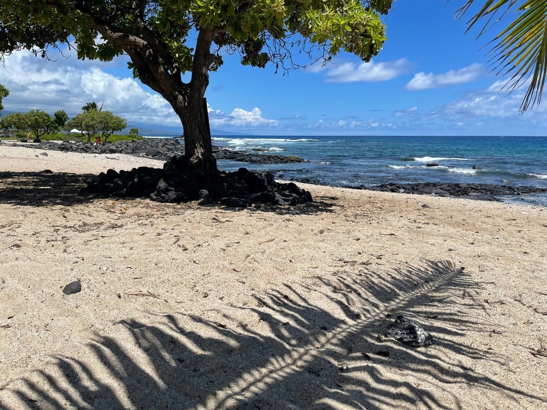 Big Island Listing Image