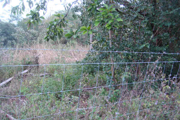 3.01 Land for Sale in Puna, Kapoho Farms, Island of Hawaii 3.01 Acres in Kapoho Farms, Puna, Big Island Of Hawaii