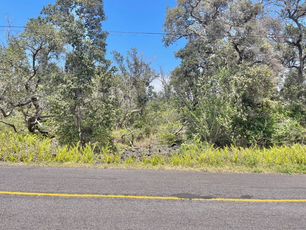 Big Island Listing Image