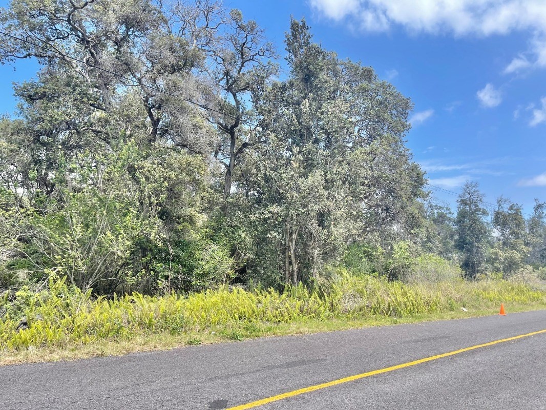 Big Island Listing Image