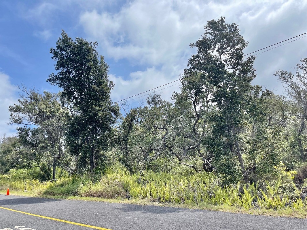 Big Island Listing Image