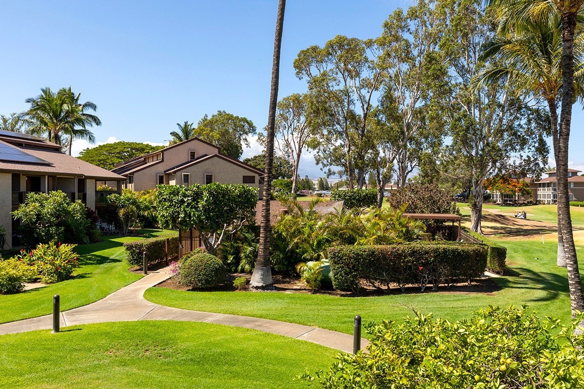 Big Island Listing Image