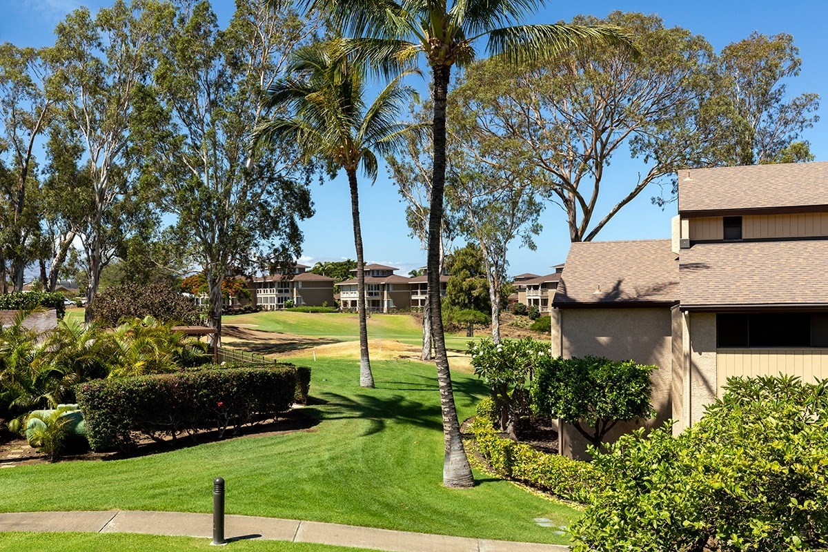 Big Island Listing Image