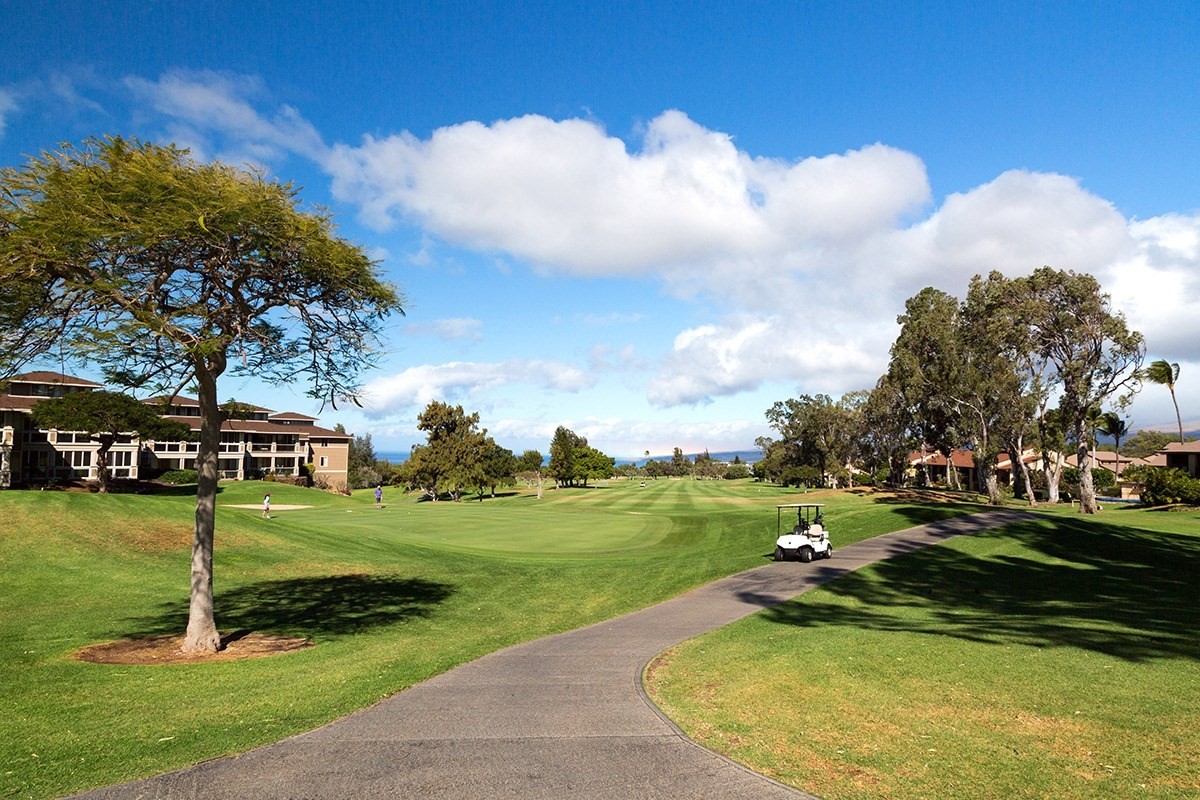 Big Island Listing Image