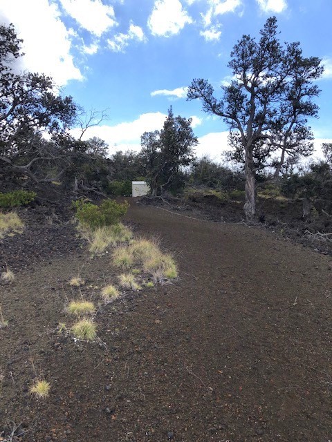 Big Island Listing Image