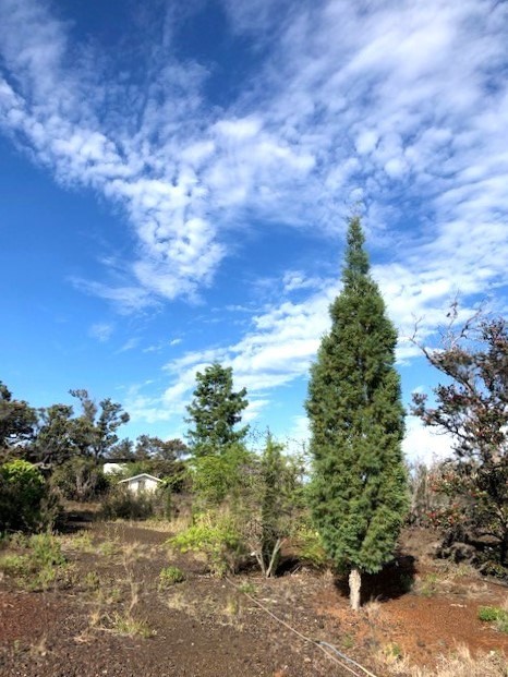 Big Island Listing Image