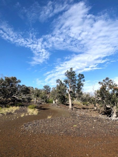 Big Island Listing Image