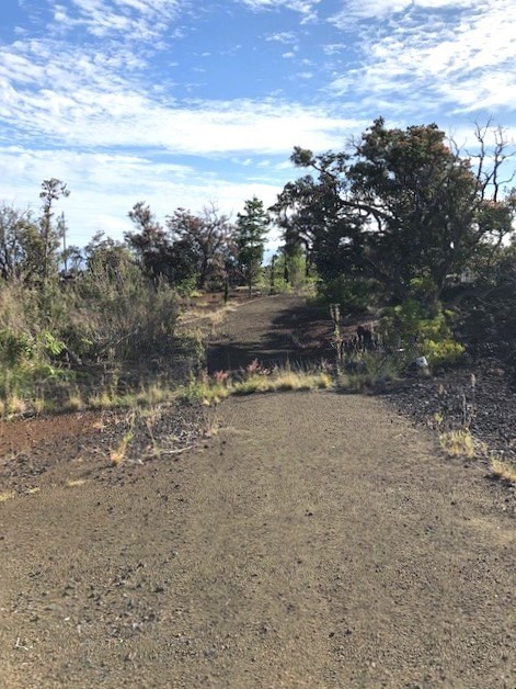 Big Island Listing Image