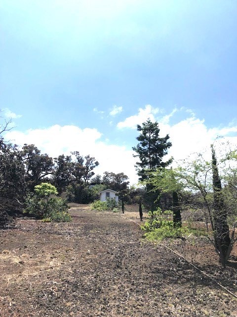 Big Island Listing Image