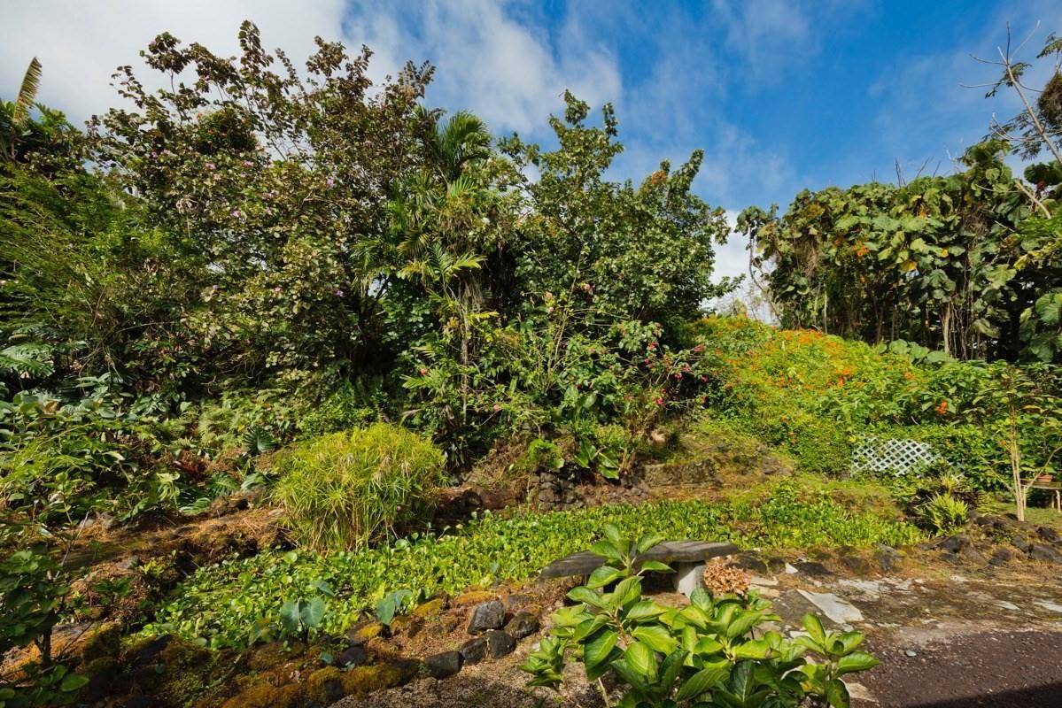 Big Island Listing Image