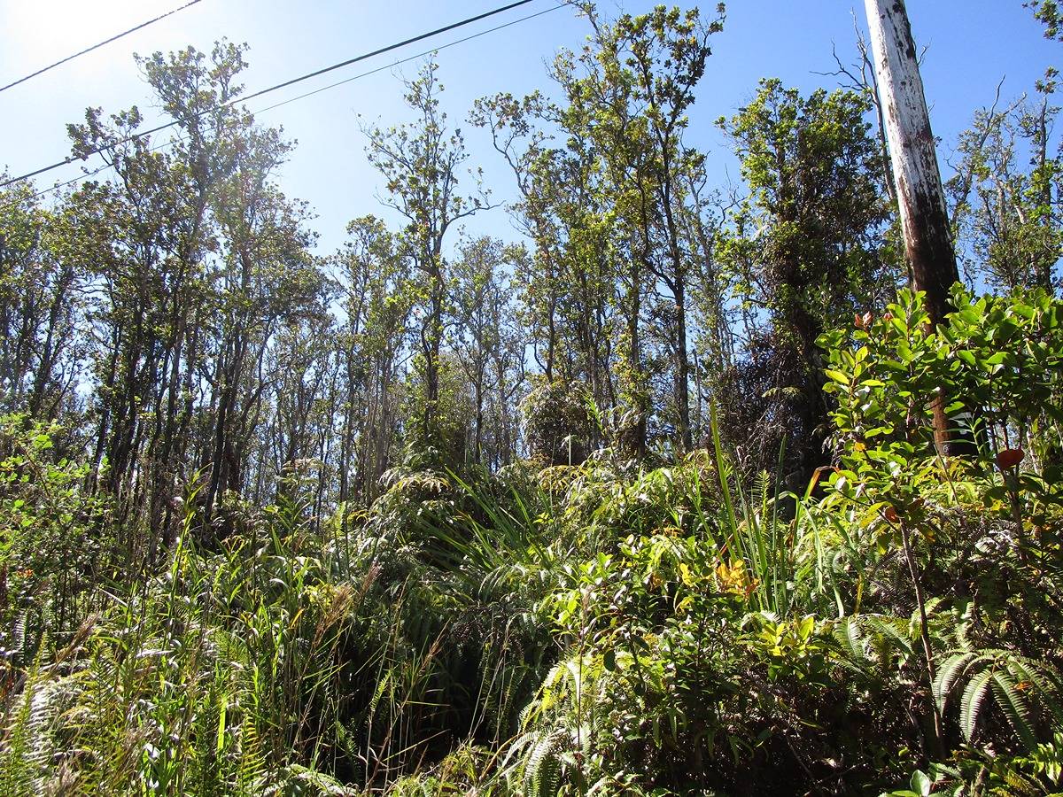 KAHAUALEA RD VOLCANO HI 96785