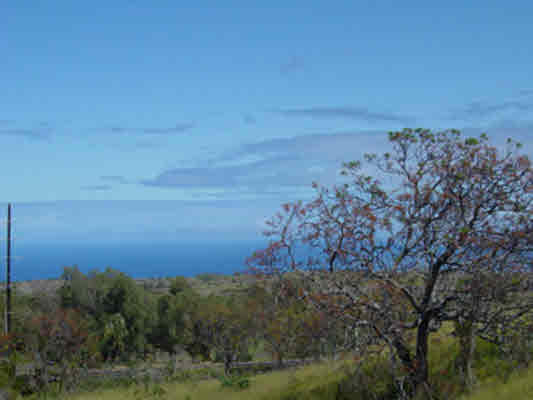 Puu Lani Ranch