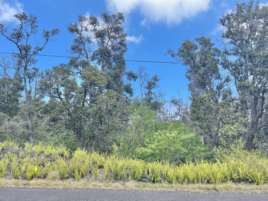 Big Island Listing Image