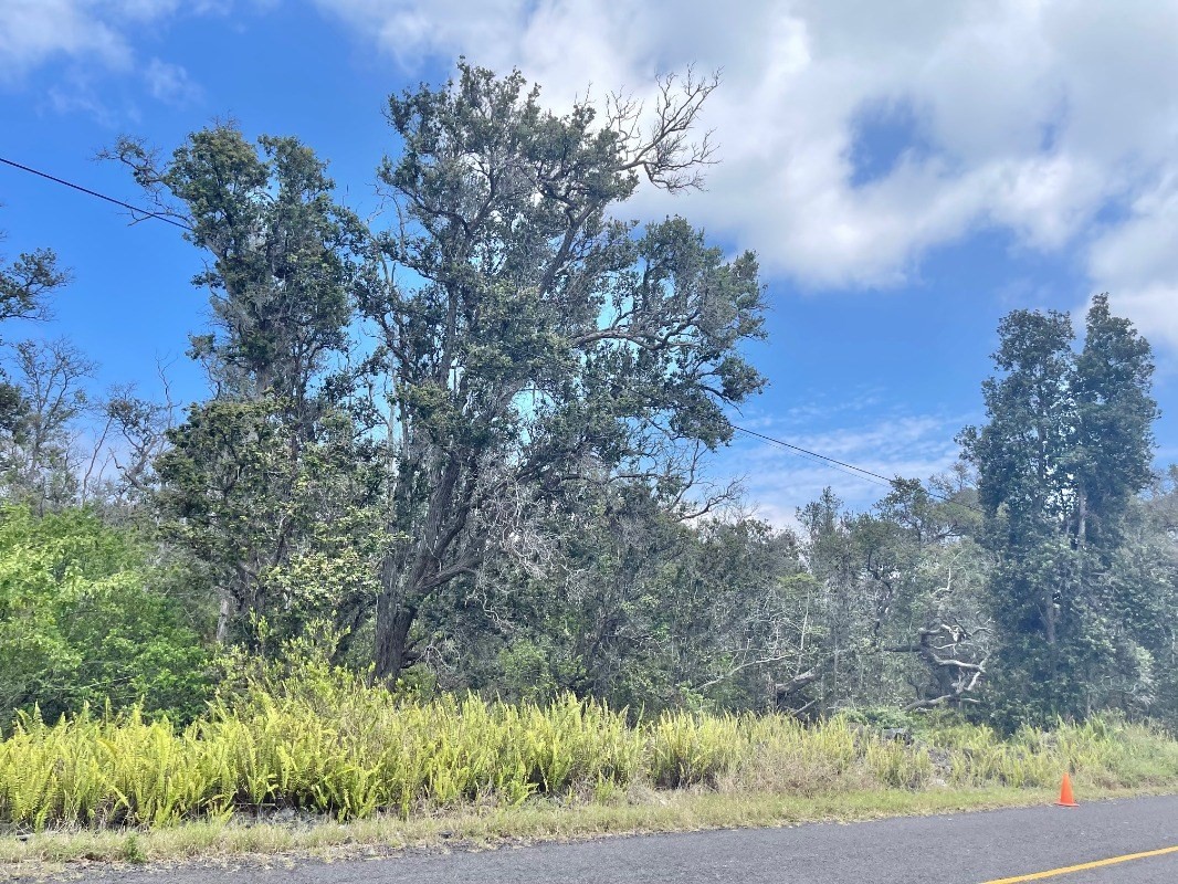 Big Island Listing Image