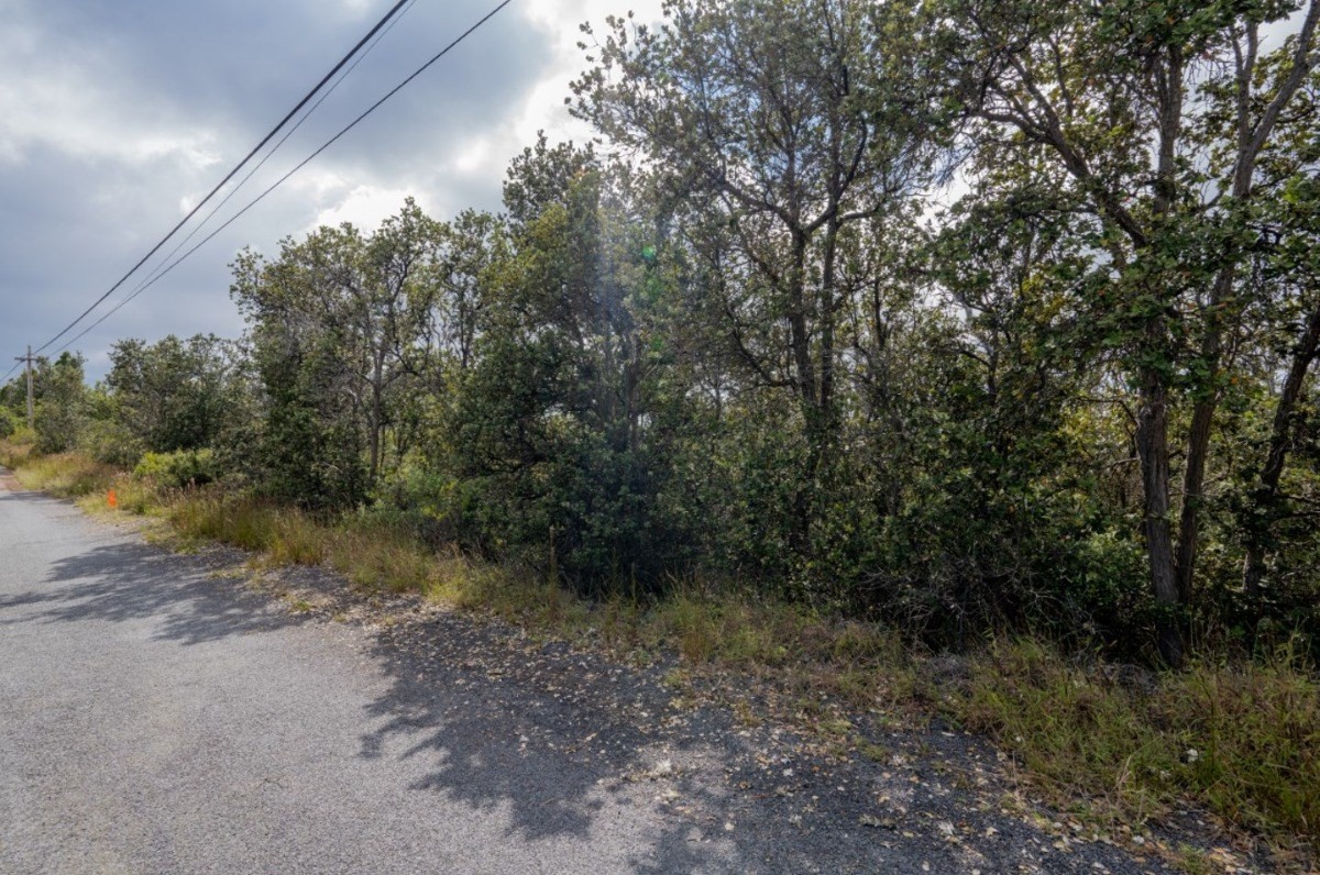 Big Island Listing Image