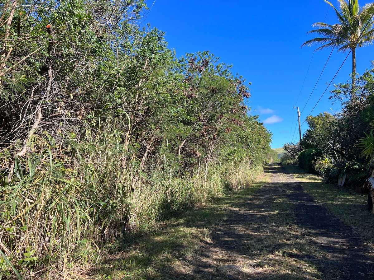 Big Island Listing Image