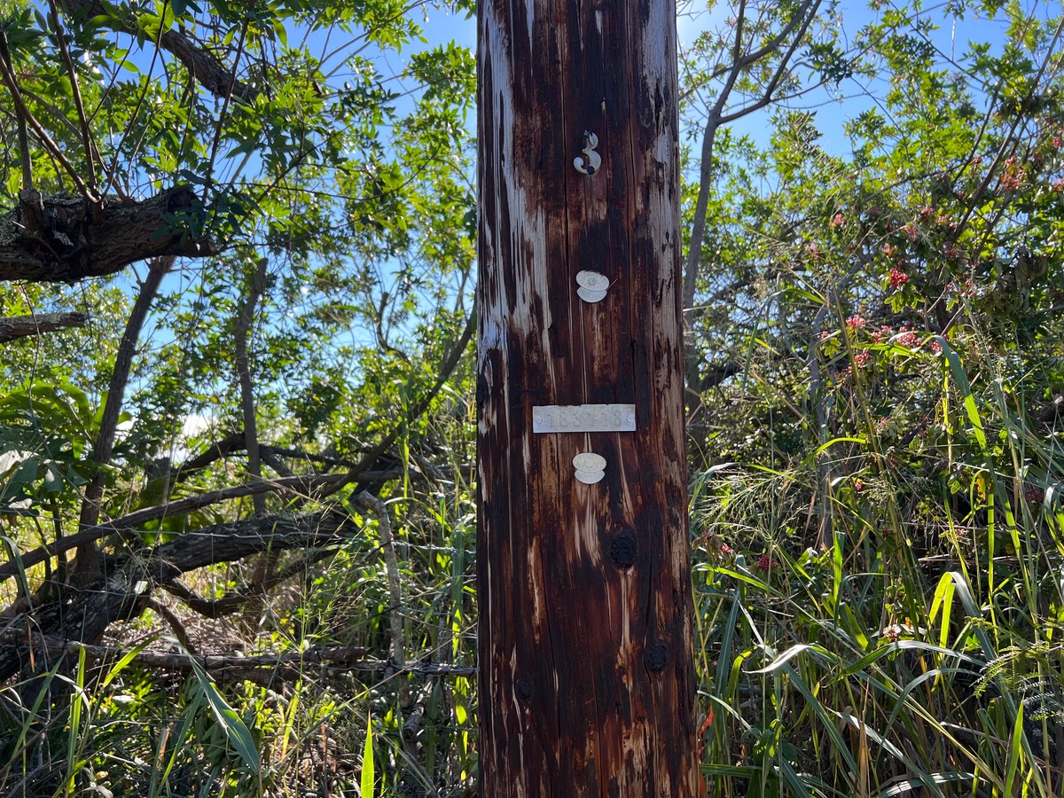 Big Island Listing Image