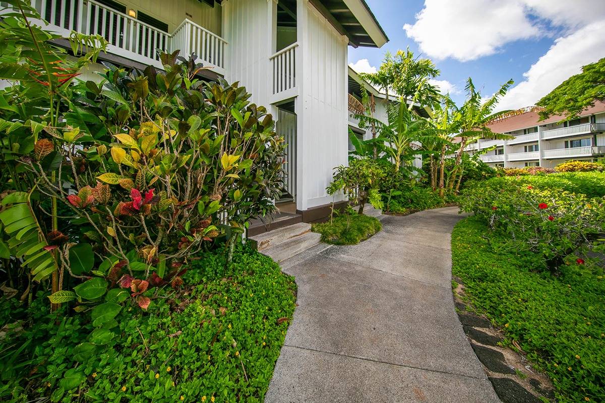 Kauai Listing Image