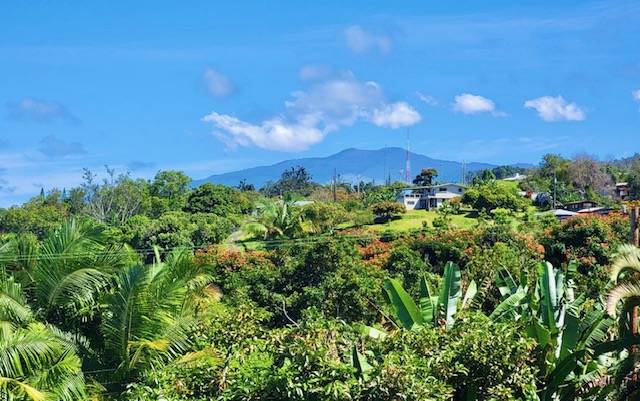 Big Island Listing Image