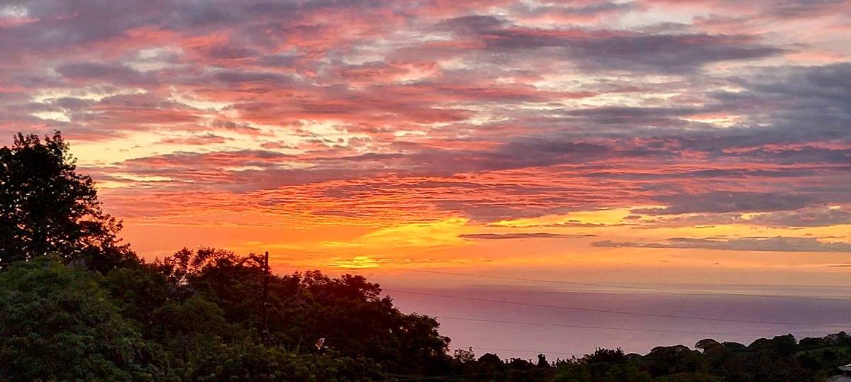 Big Island Listing Image