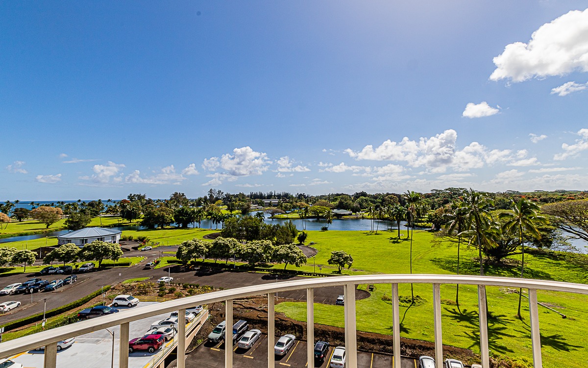 Big Island Listing Image