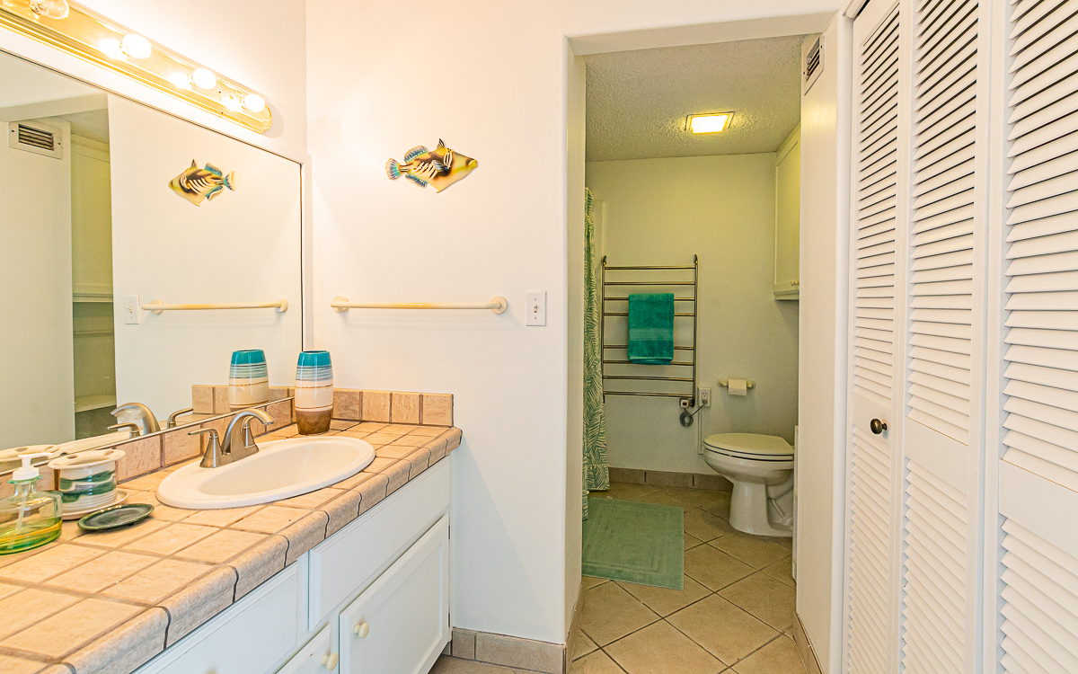 Big Island Listing Image