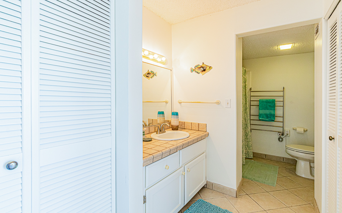 Big Island Listing Image