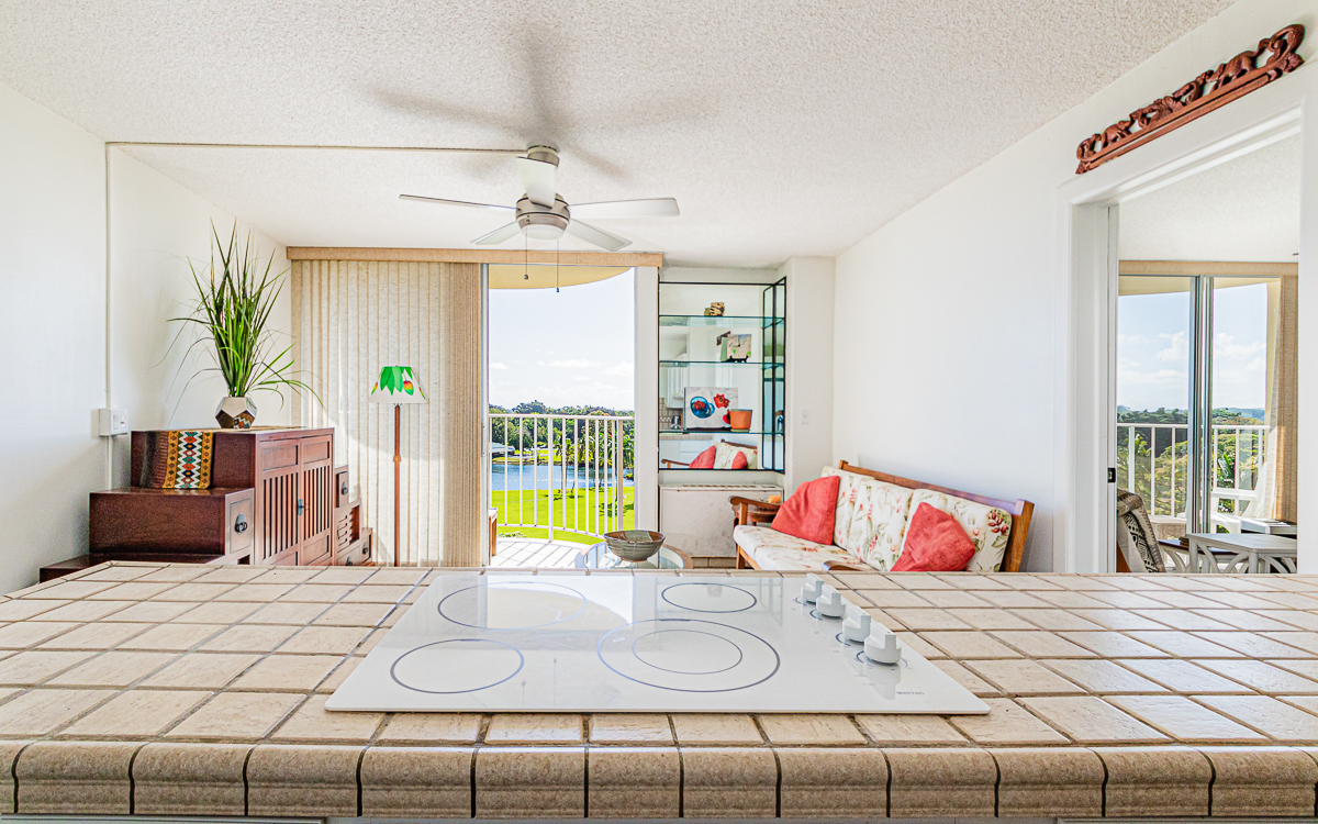 Big Island Listing Image