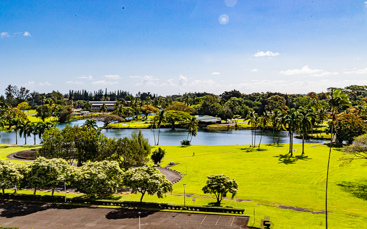 Big Island Listing Image