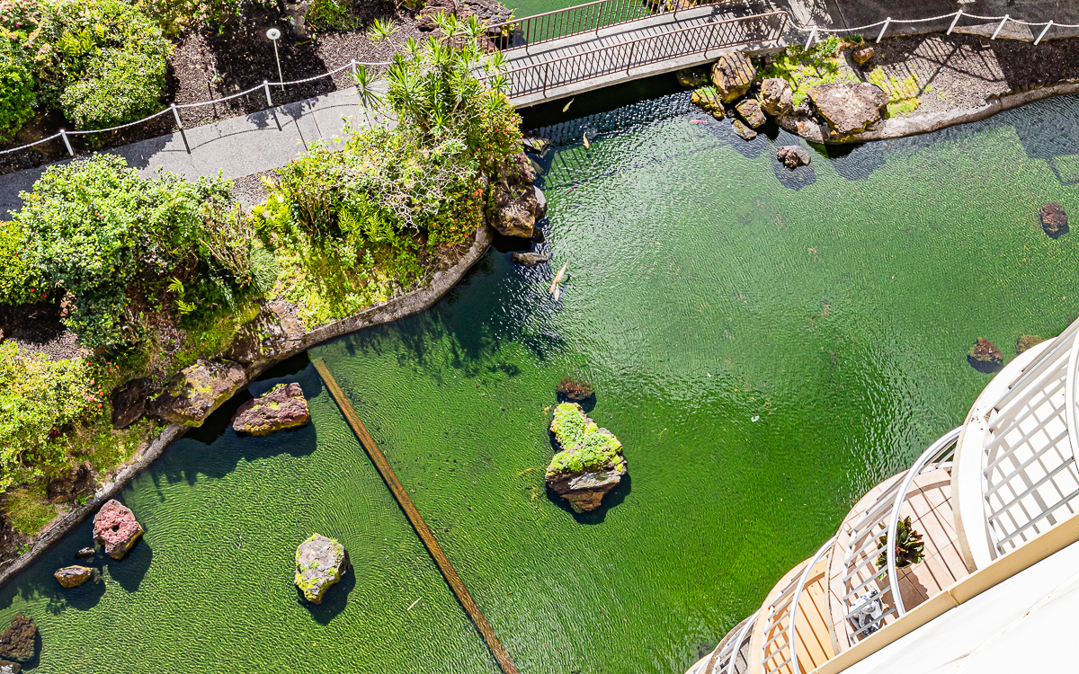 Big Island Listing Image