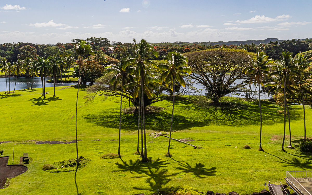 Big Island Listing Image