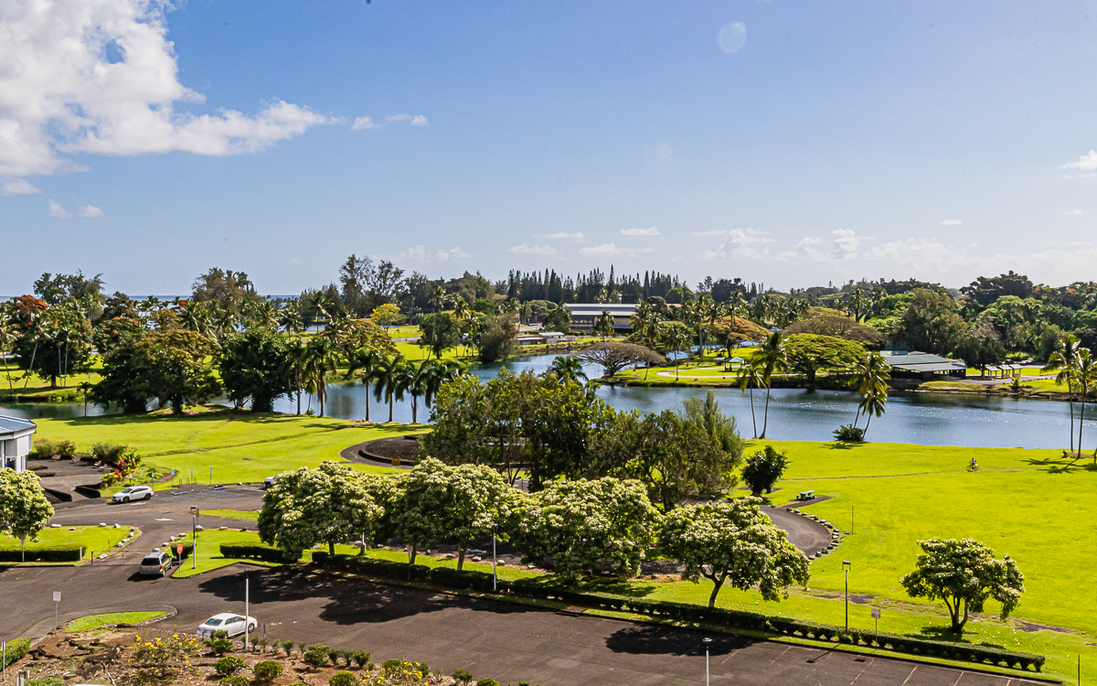 Big Island Listing Image