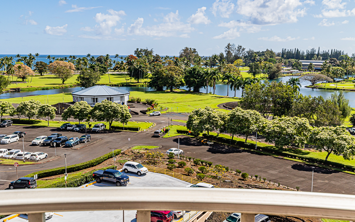 Big Island Listing Image