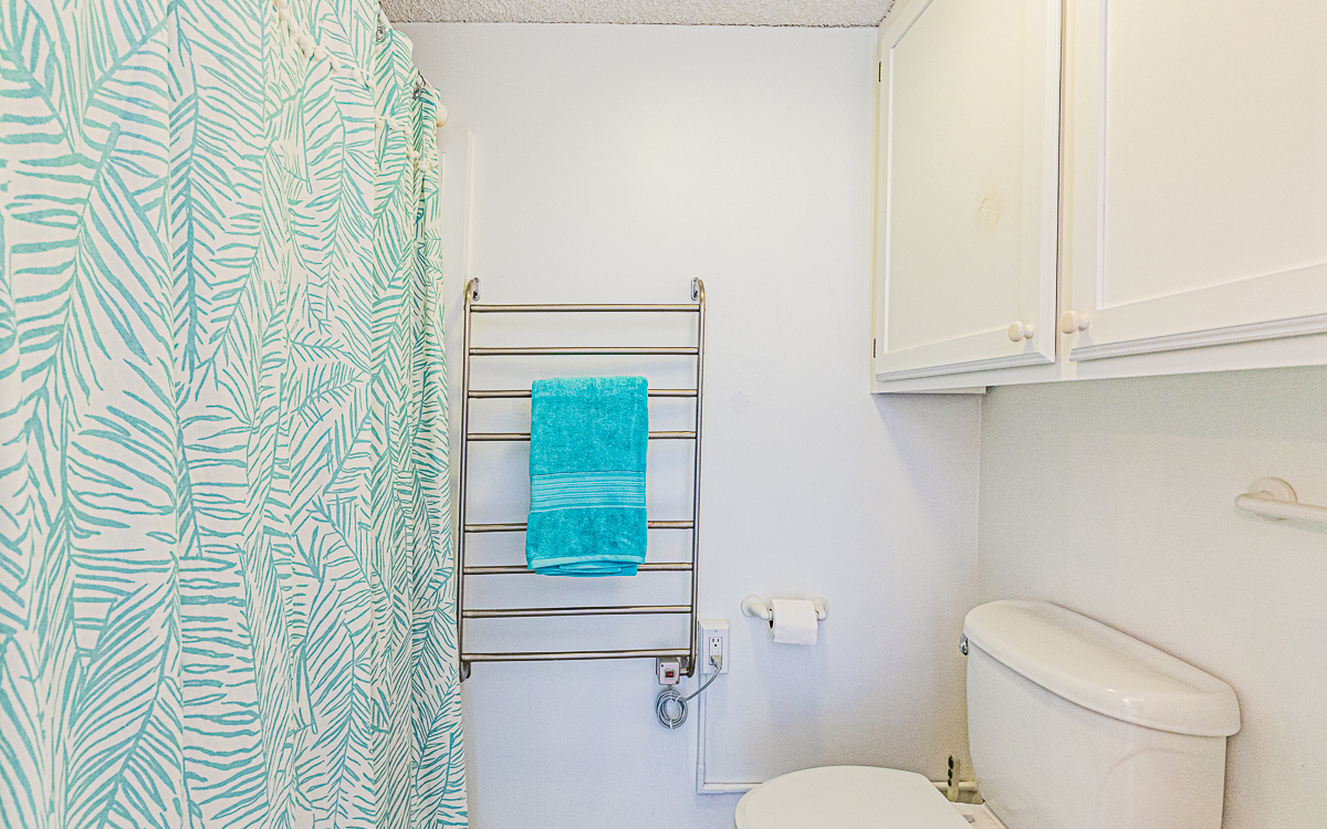 Big Island Listing Image