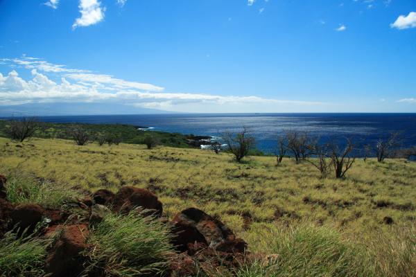 Akoni Pule Hwy., HAWI, HI, 96719, USA